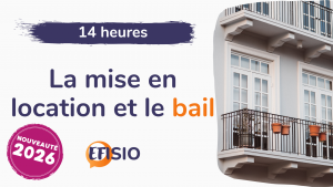 Formation La mise en location et le bail 14H