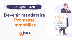 PROMESSE IMMOBILIER - 42H
