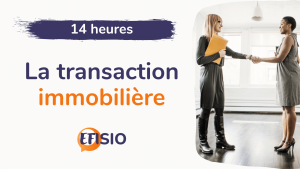 Formation loi Alur en ligne – EFISIO - La transaction immobilière