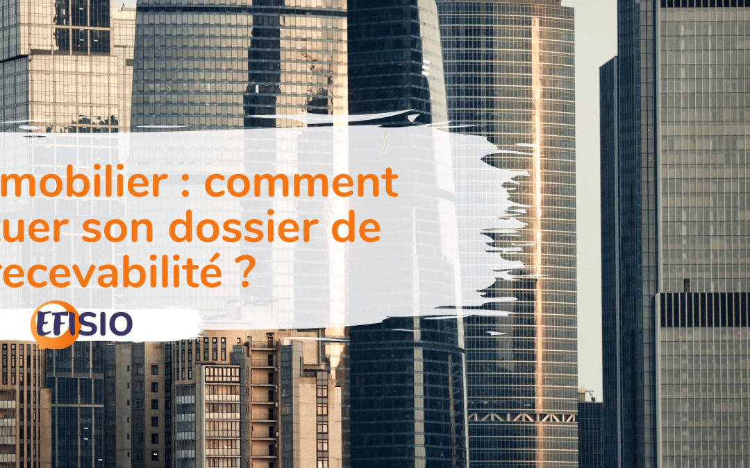VAE immobilier : comment constituer son dossier de recevabilité ?