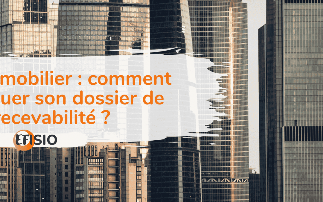 VAE immobilier : comment constituer son dossier de recevabilité ?